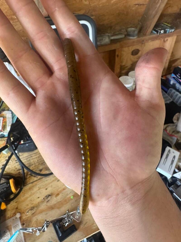 Trick worm