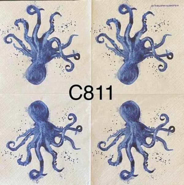 Beach (C811) - Blue Octopus
