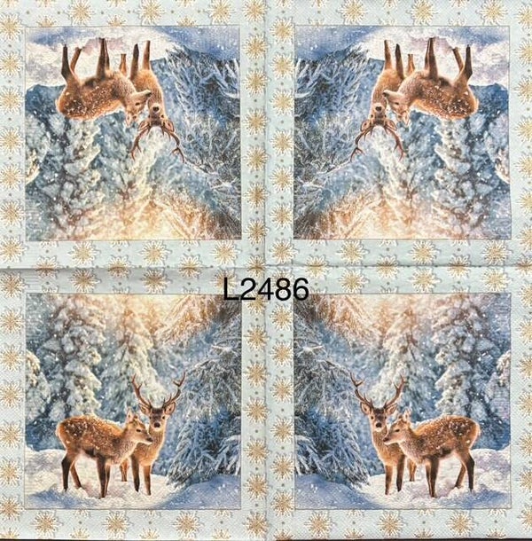Deer (L2486) - Two Deer in the Woods with Pine Trees Around Them and Snow on the Ground