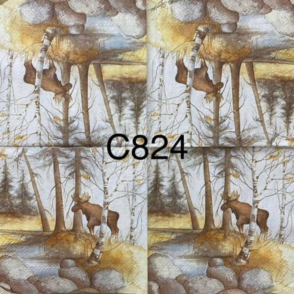 Animals (C824) - Elk/Moose in Forest