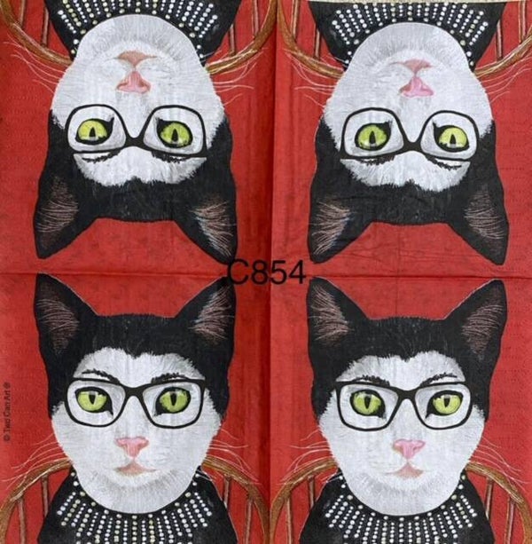 Cats (C854) - RBG Black Cat with Glasses