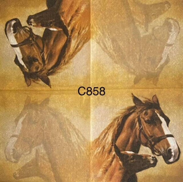 Horses (C858) - Horse Mom and Colt