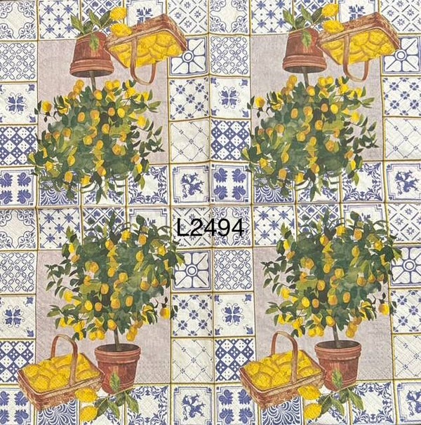 Fruits (L2494) - Lemon Tree and Basket Filled with Lemons
