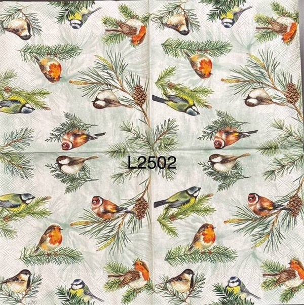 Birds (L2502) - Variety of Birds on Pinetree Branches