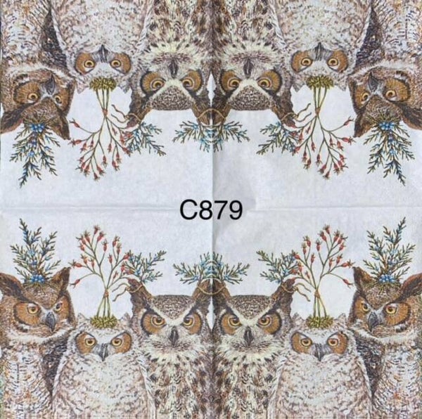 Birds (C879) - Three Owls with Plants on Heads