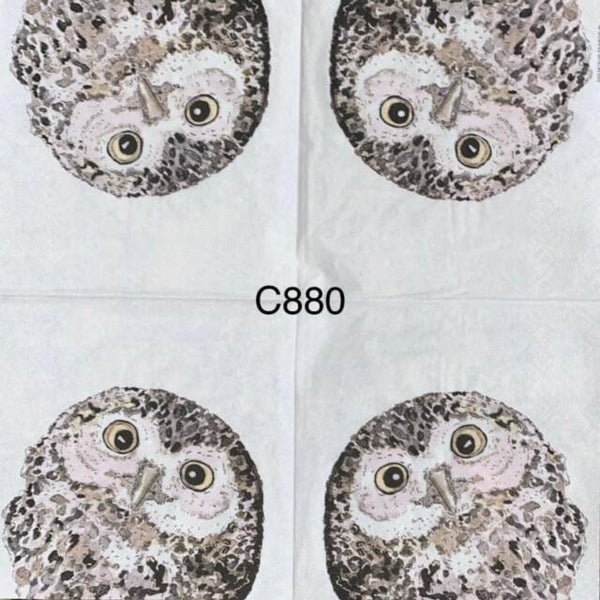 Birds (C880) - Owl