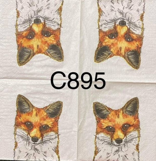 Animals (C895) - Fox