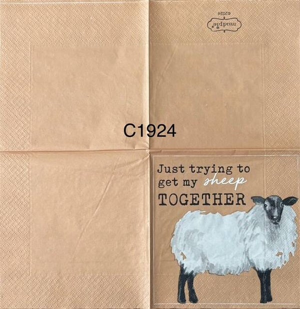 Animals (C1924) - Sheep "Just trying to get my sheep together"