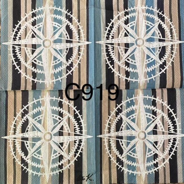 Beach (C919) - Navigation Compass