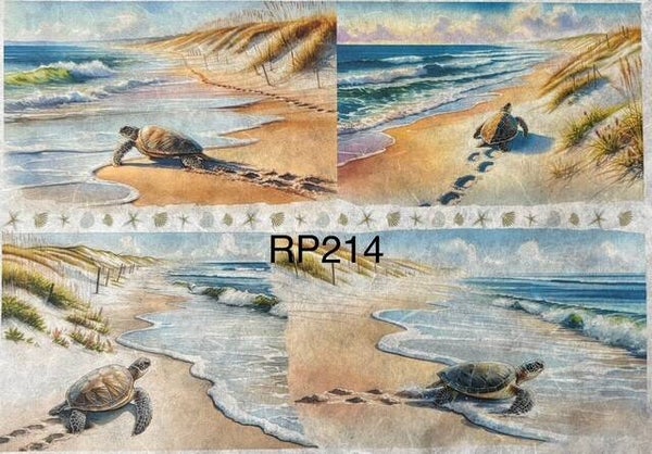 Beach (RP214) - Turtles on the Sand