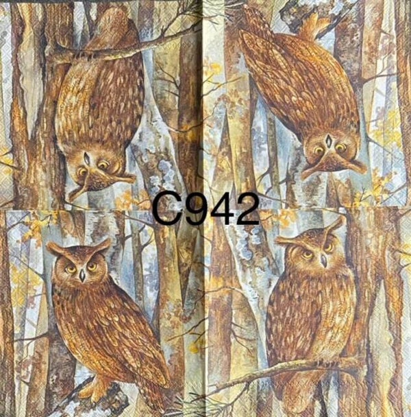 Birds (C942) - Brown Owl on Tree Branch