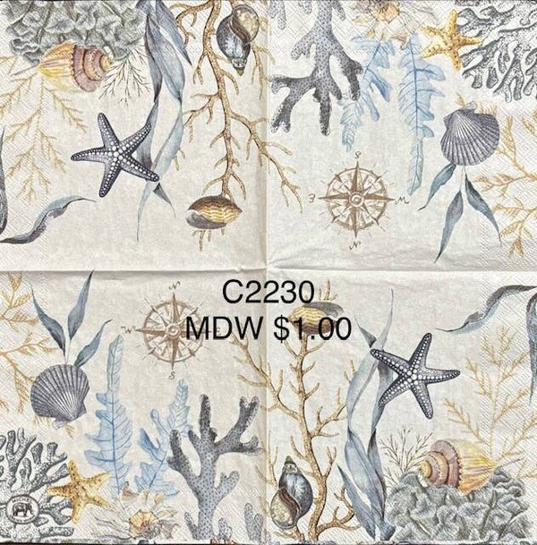 Beach (C2230) - MDW Sea Life with Starfish, Coral, Shells, Algae