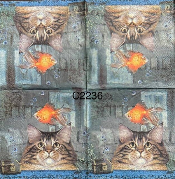 Cats (C2236) - Cat Looking at a Goldfish in a Tank