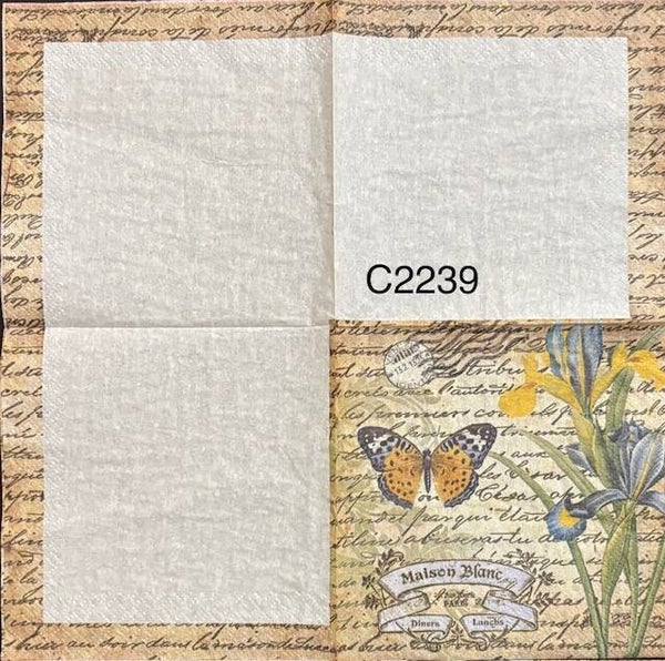 Butterflies (C2239) - Orange and Black Butterfly with Script in Background