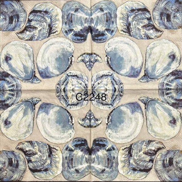 Beach (C2248) - Oyster Shells