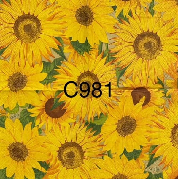 Sunflowers (C981) - Sunflower Wallpaper