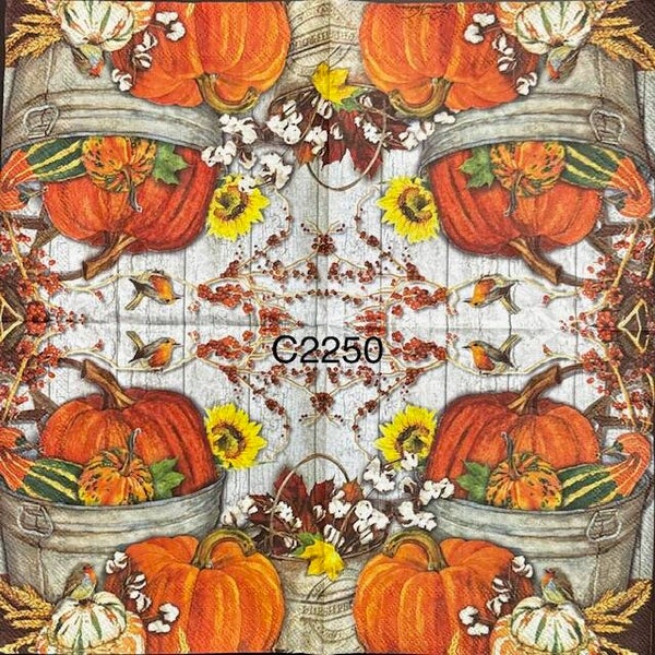 Fall (C2250) - Pumpkins in Metal Bucket
