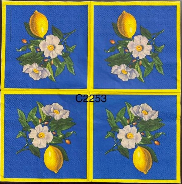 Fruits (C2253) - Lemon with Two White Flowers on Stem on a Bright Blue Background