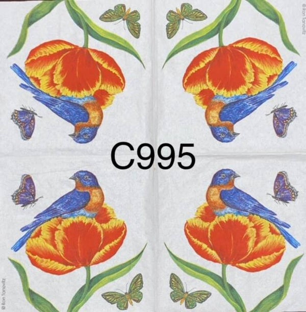 Birds (C995 - Blue and Orange Bird Sitting on Orange Flower