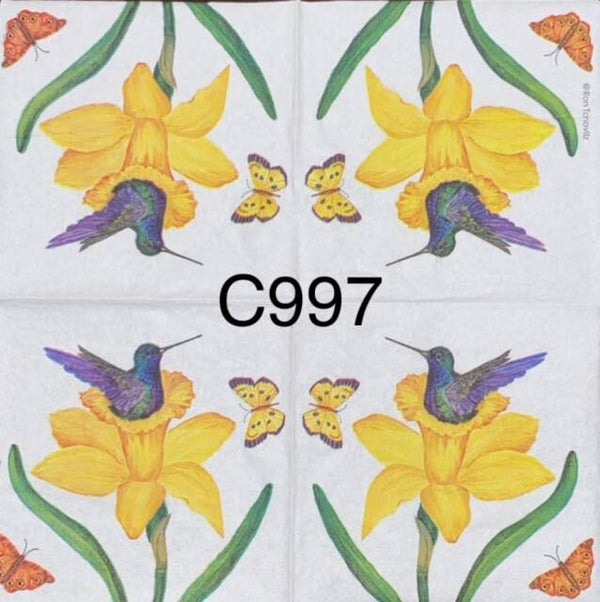 Birds (C997) - Hummingbird Sitting on Yellow Flower