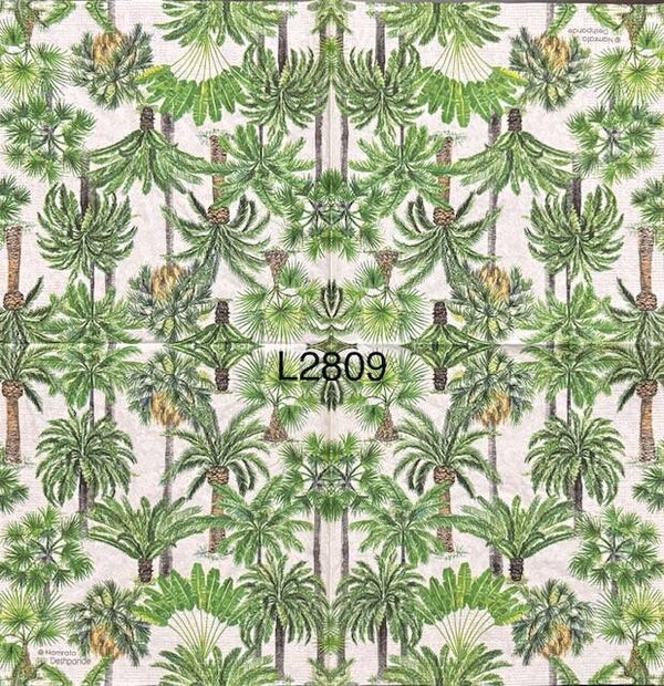 Beach (L2809) - Palm Trees Background