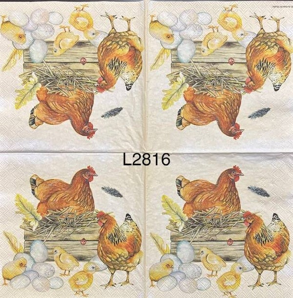 Birds (L2816) - Chickens, Chicks and Eggs