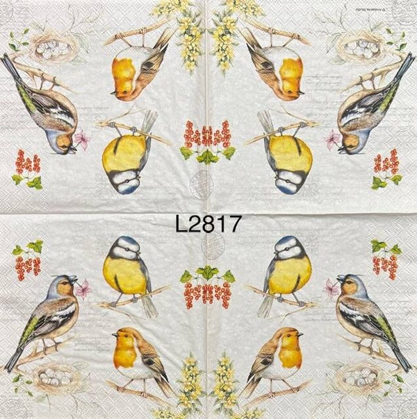 Birds (L2817) - Three Colorful Birds on Branches