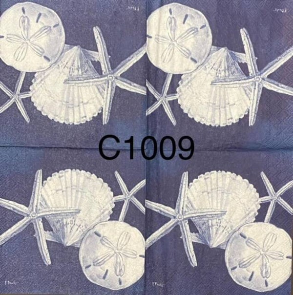 Beach (C1009) - White Starfish, Sand Dollar and Shell