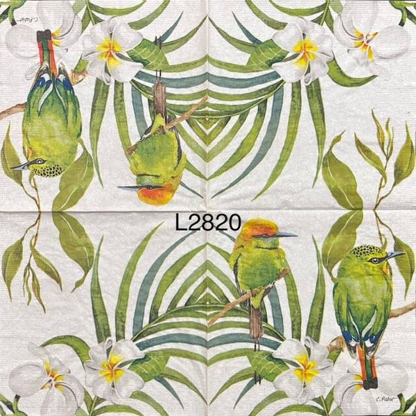Birds (L2820) - Two Green Birds on a Tropical Plant