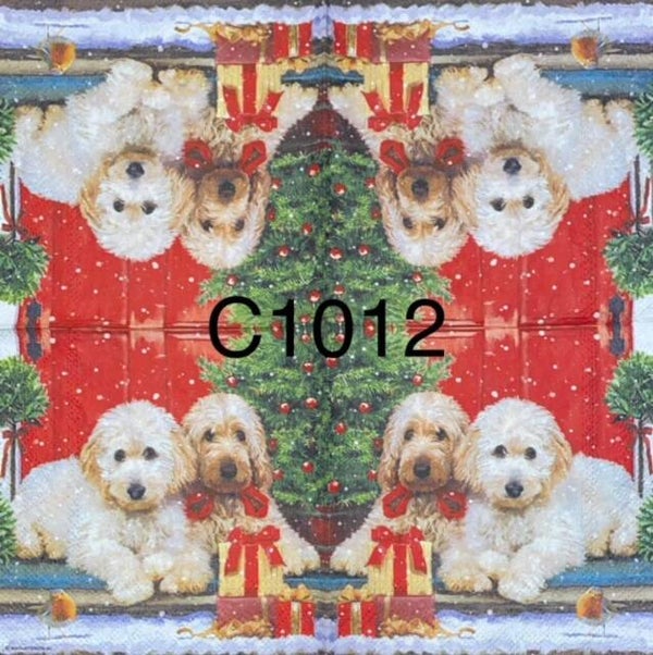Christmas (C1012) - Two Labradoodles With Present
