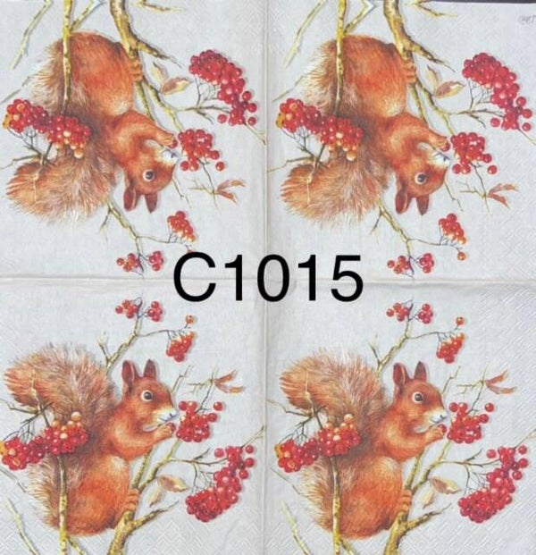 Animals (C1015) - Squirrel Eating Berries