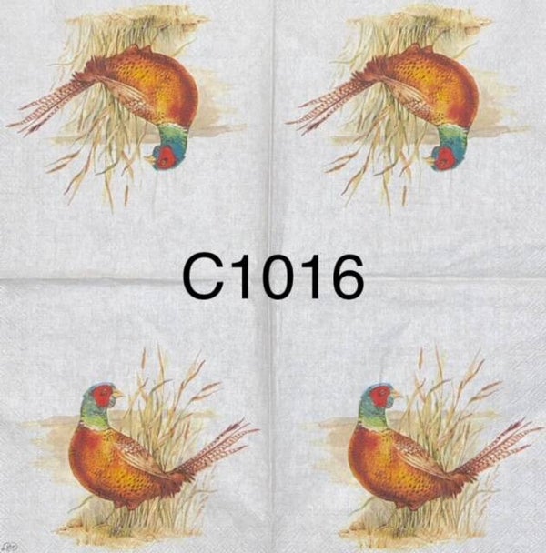 Birds (C1016) - Pheasants by Tall Grass