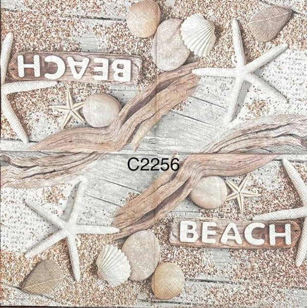 Beach (C2256) - Beach with Starfish, Shells, and Driftwood
