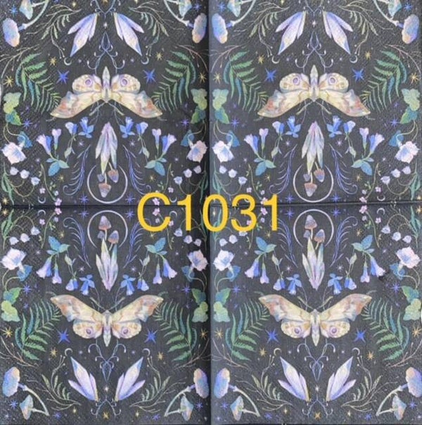 Butterflies (C1031) - Butterfly with Black Background