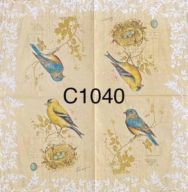 Birds (C1040) - Blue and Yellow Birds