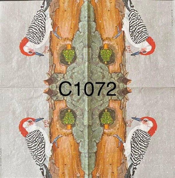 Birds (C1072) - Woodpecker