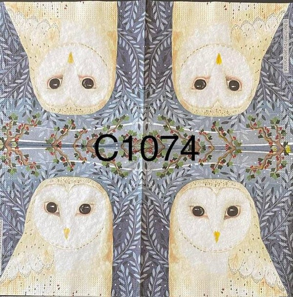 Birds (C1074) - Owl