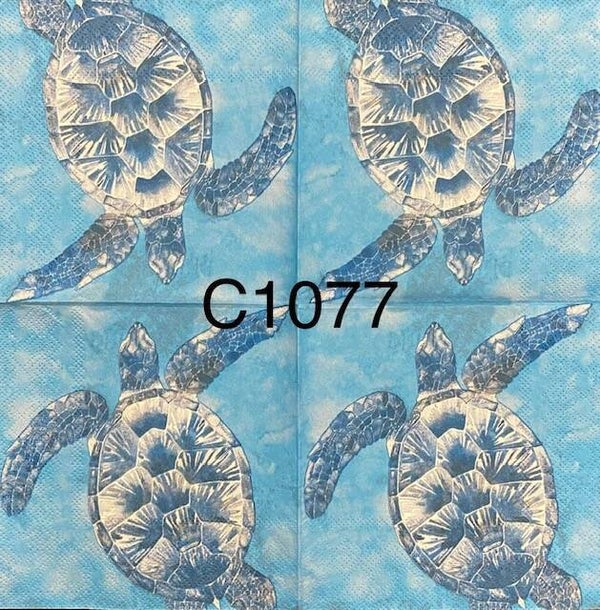 Beach (C1077/1355) - Turtle