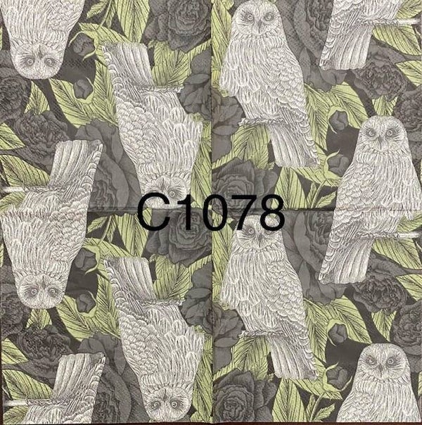 Birds (C1078) - White Owl