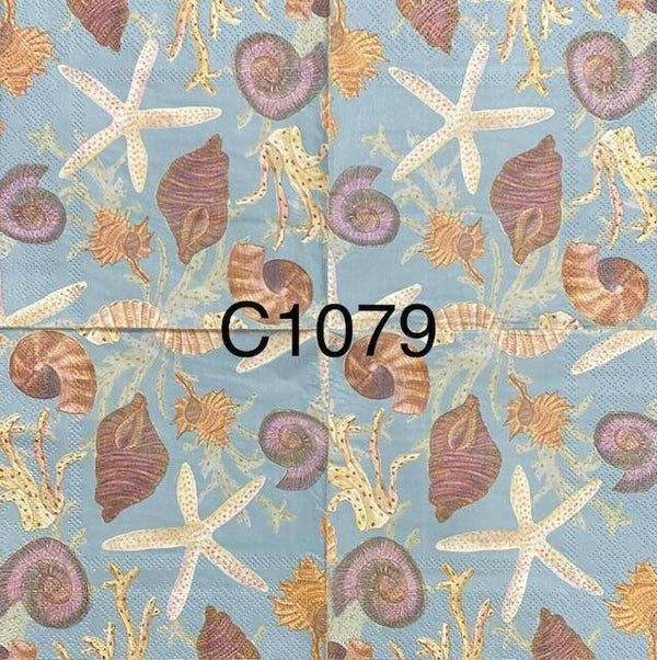 Beach (C1079) - Shells
