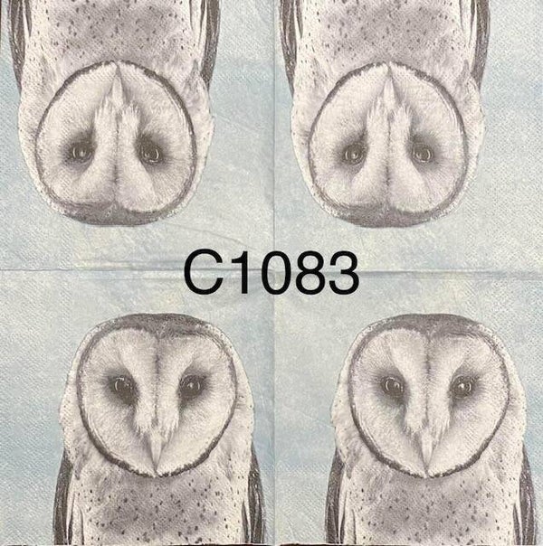 Birds (C1083) - White and Gray Owl