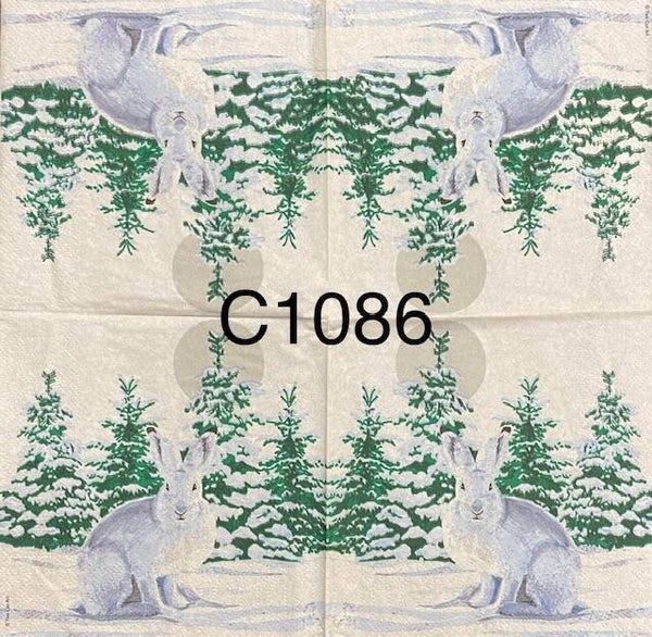 Animals (C1086) - White Bunny in the Snow