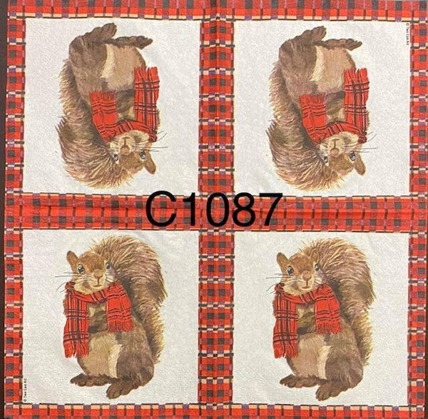 Animals (C1087) - Squirrel with Scarf