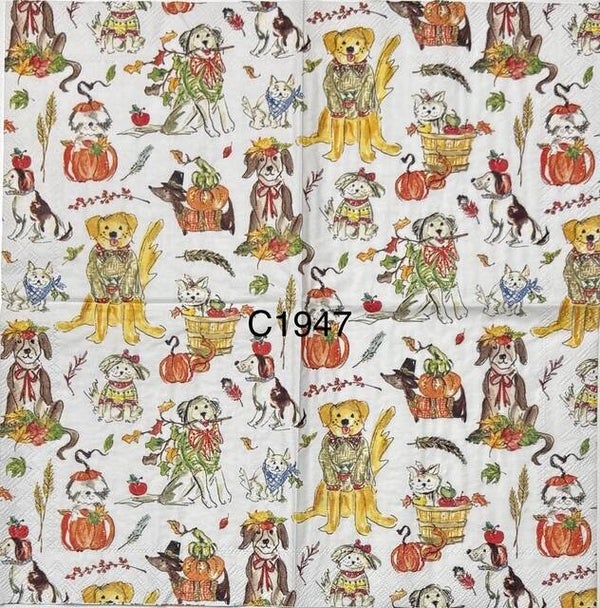 Fall (C1947) - Dogs Dressed up for Fall Season