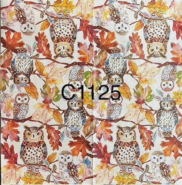 Bargain - Fall (C1125) - Owl on Branch