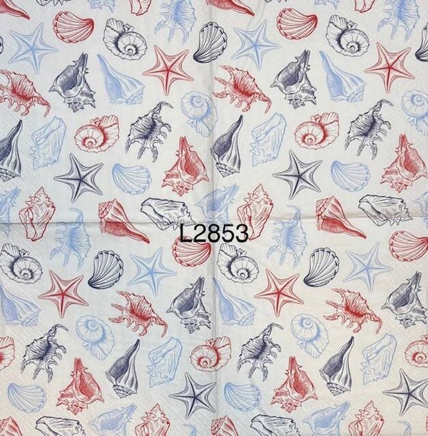 Beach (L2853) - Blue and Red Shells Background