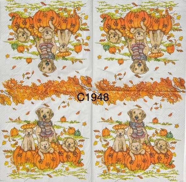 Fall (C1948) - Gold Labrador Wearing a Scarf with Three Puppies Sitting in Pumpkins