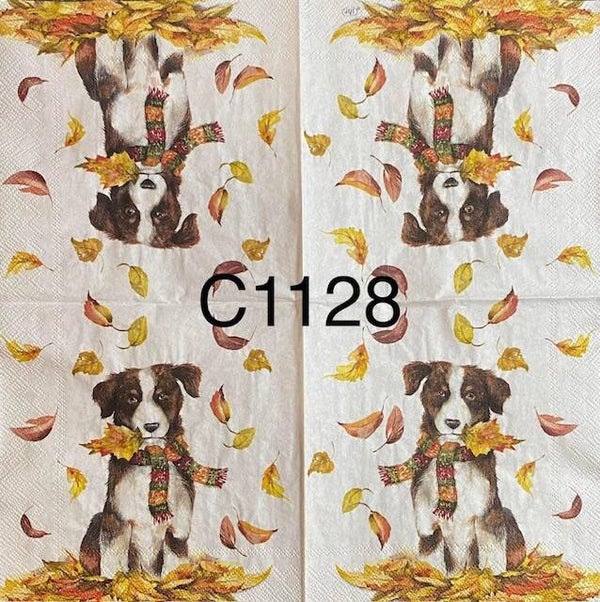 Dogs (C1128) - Dog Holding a Leaf - Fall