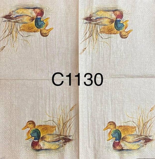Birds (C1130) - Ducks in Water