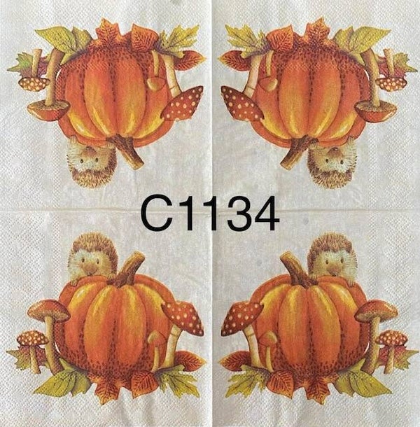 Fall (C1134) - Hedgehog Hiding Behind Pumpkin